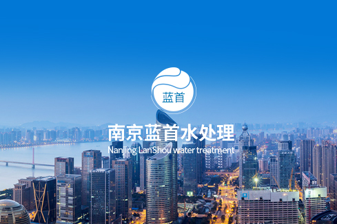 阳山建站-南京蓝首水处理设备有限公司
