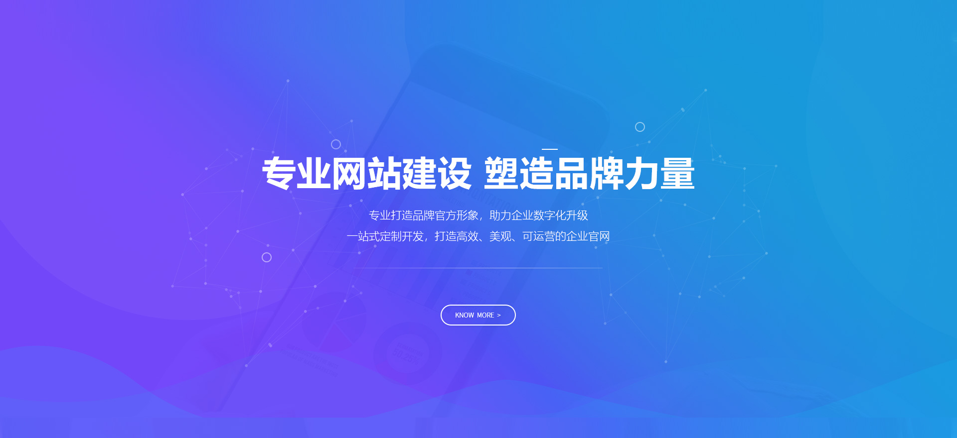 清新建站-专业网站建设 塑造品牌力量