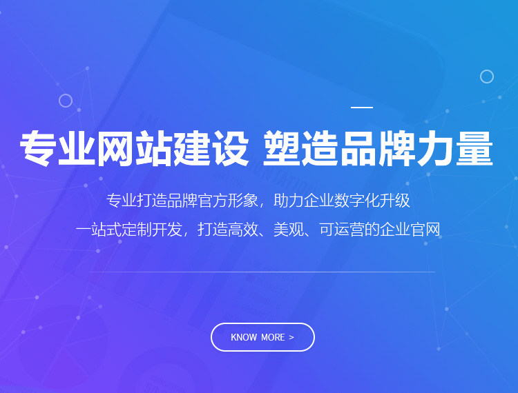 清新建站-专业网站建设 塑造品牌力量